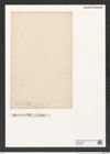 Melosira procura (Ehr.). (de-Toni-Nr.: Genus 213) Zeichnungen Sammlung Grunow (NHMW-BOT-W0379069)